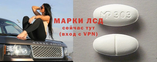 стаф Алексин