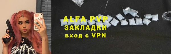 стаф Алексин
